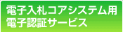 �d�q���D�R�A�V�X�e���p�d�q�F�؃T�[�r�X